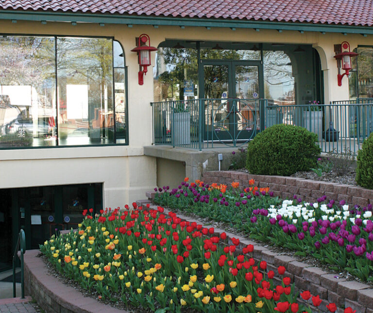 Tulips at the Pagoda