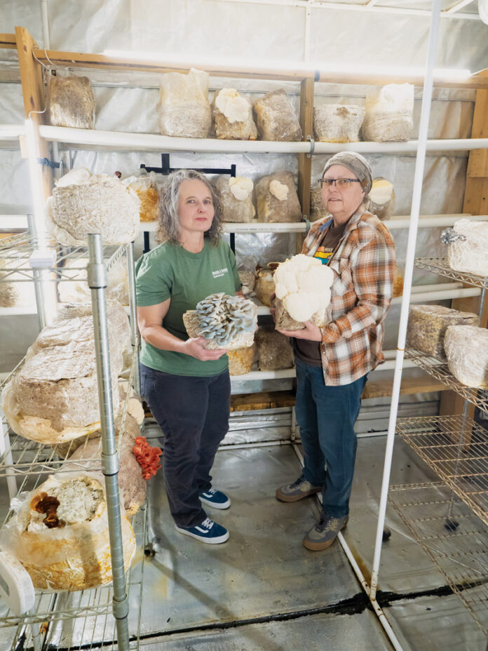 Ginger and Becky Woods stand in the greenhouse for their mushroom-growing business, Woods & Stems
