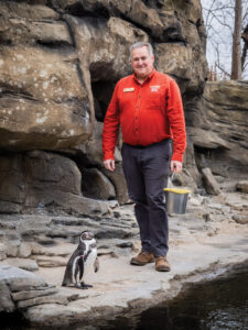 Man stands next to a penguin in a zoo's animal exhibit