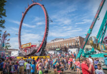 Your Fall Festival Preview