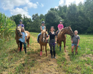 Photo provided by Blue Moon Stables