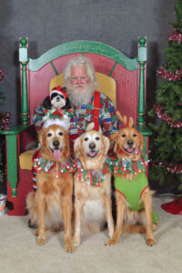 Pet Pictures with Santa photo provided by Diane Whipkey, Vanderburgh Humane Society